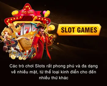 Thông tin cá nhân được sodo win thu thập